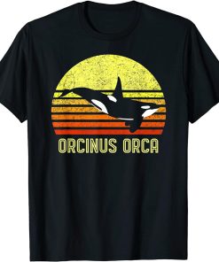 Orca Killer Whale Dolphin Marine Science Biologist Retro Sun T-Shirt